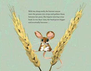 Animal Architects