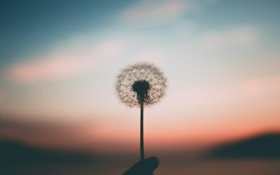What Are Some Of The Best Ways To Find Inner Peace?