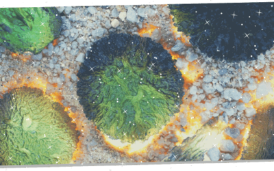 What Moldavite Does: 11 Powerful Effects & How To Use It