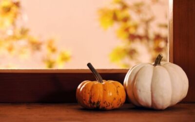 Clutter Clearing for Samhain? Absolutely.