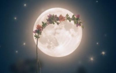 Beltane Full Moon Spells for Love, Healing, and Wealth