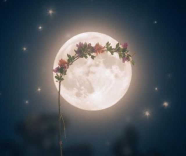 Beltane Full Moon Spells for Love, Healing, and Wealth