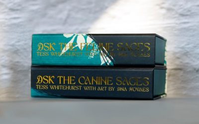Introducing Two New Decks: Ask the Feline & Canine Sages