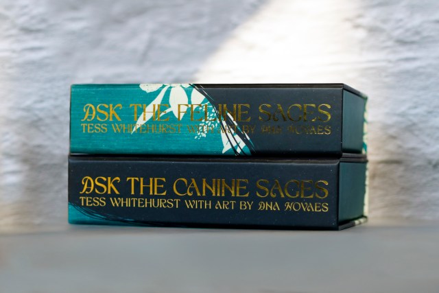 Introducing Two New Decks: Ask the Feline & Canine Sages