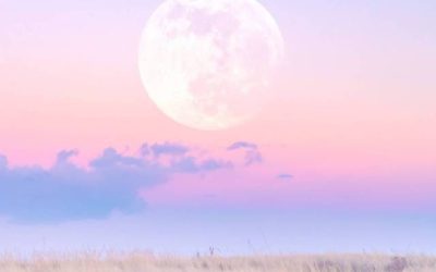 Divinely Guided Card Messages for This Powerful Full Moon