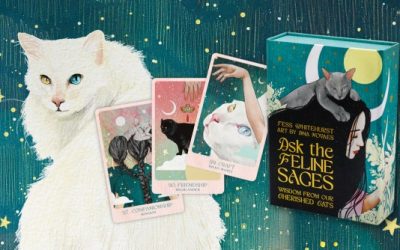 New Moon Message: It’s OK to be OK