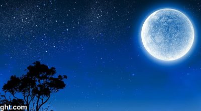Solar Eclipse in Leo, August 12th